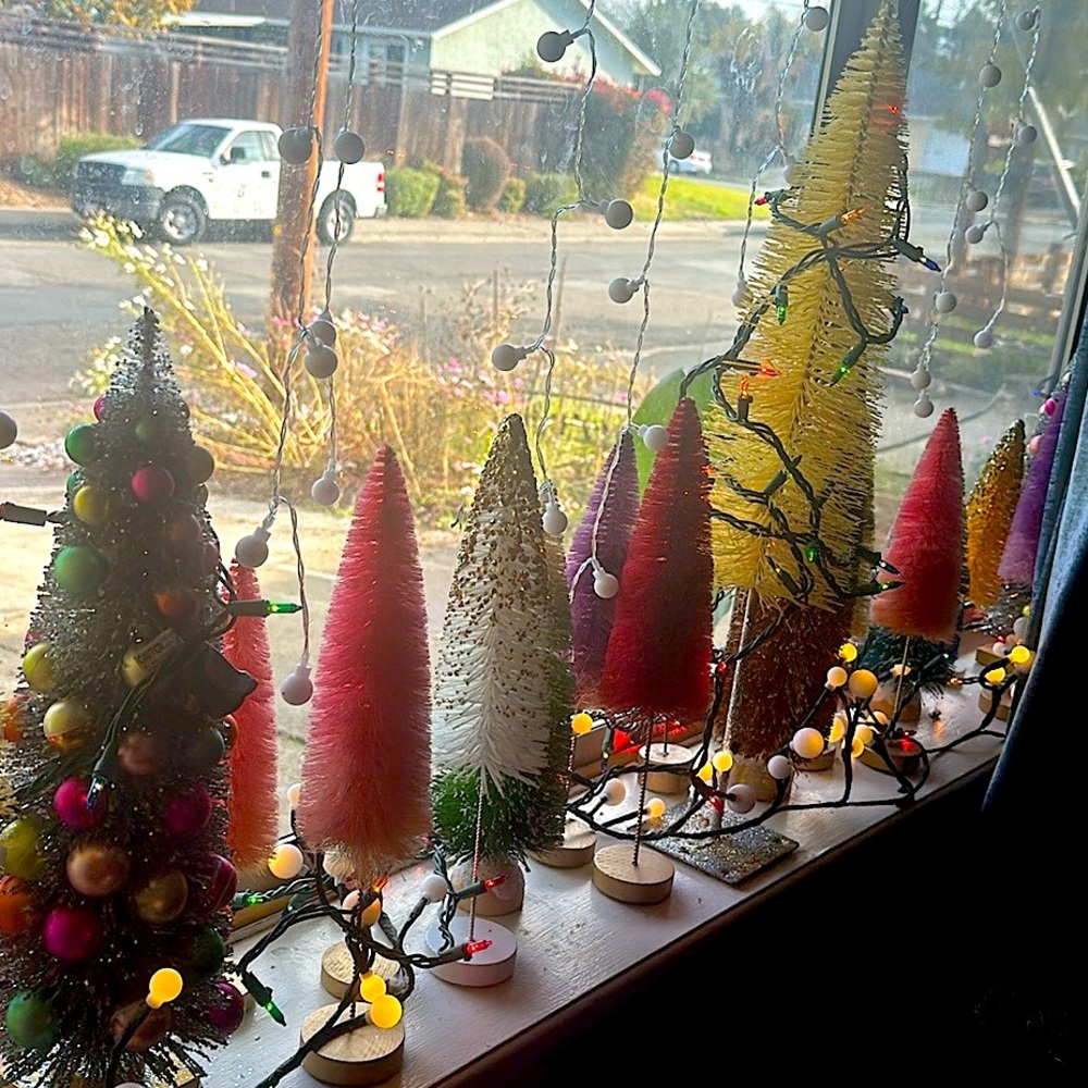 Bottle brush trees